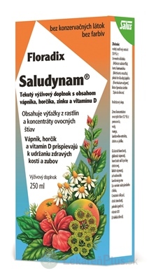 SALUS Floradix Saludynam tekutá froma 1x250 ml