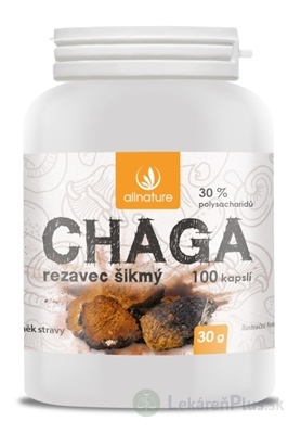 Allnature CHAGA cps (Rezavec šikmý) 1x100 ks